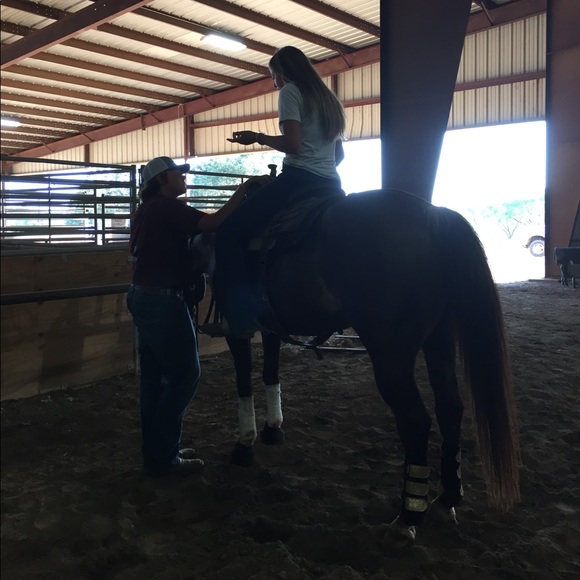 Meet your Posher, Taylor - Picture 2 of 8